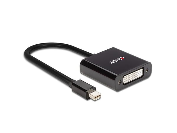 Lindy 41736, Mini DisplayPort, DVI-D, 0,16 m, Musta