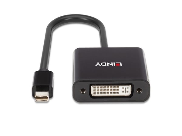 Lindy 41736, Mini DisplayPort, DVI-D, 0,16 m, Musta