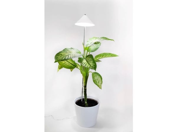 Venso LED-kasvilamppu kasvuun SUNLiTE XL 25 W valkoinen 230 V LED sisäänrakennettu 25 W neutraali valkoinen 1 kpl Venso LED-kasvilamppu kasvuun SUNLiTE XL 25 W valkoinen 230 V LED sisäänrakennettu 25 W neutraali valkoinen 1 kpl