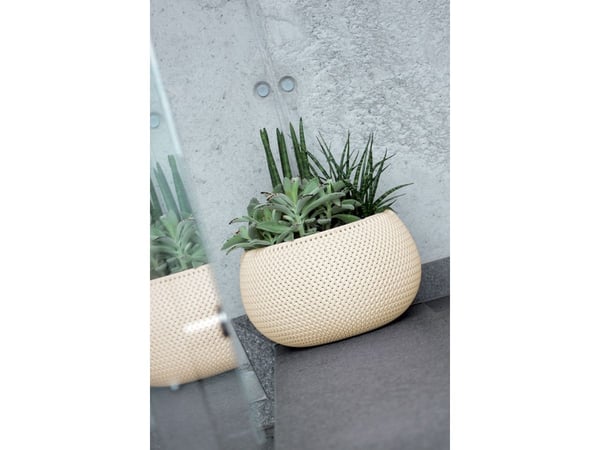 Prosperplast DKSP150-623U, Grønn, 144 mm, 110 mm, 1 stykker