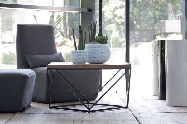 Prosperplast DKSP150-623U, Grønn, 144 mm, 110 mm, 1 stykker