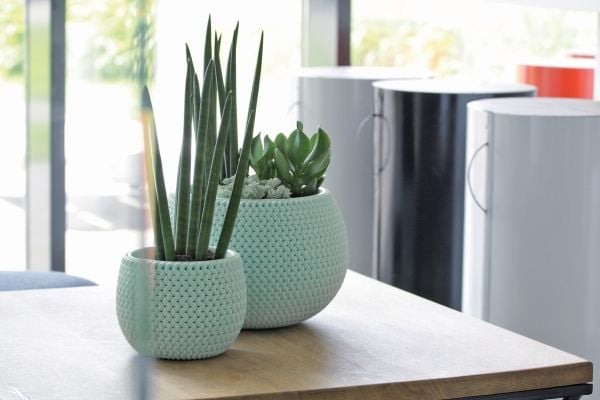 Prosperplast DKSP150-623U, Grønn, 144 mm, 110 mm, 1 stykker