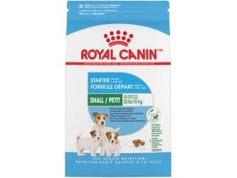 Royal Canin Starter Mother And Babydog, Voksen, Alle hunderaser, Kylling, 1 kg