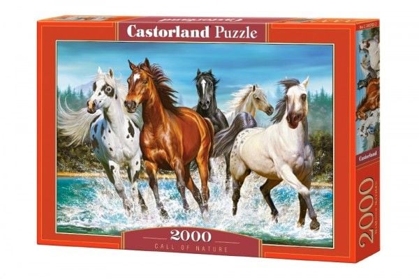 Castorland Puzzle 2000 Call of Nature
