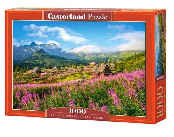 Castorland Hala Gasienicowa, Tatras, Poland 1000 pcs, 1000 stykker, Landskap, 9 år