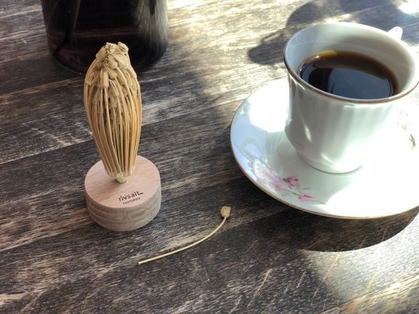 Rivsalt™ TOOTHPICK