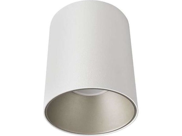 Takspot Nowodvorski Spot Eye Tone 8928 1x10W GU10 LED tak hvit/sølv