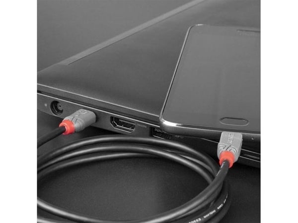 Lindy 36893, 3 m, USB C, Micro-USB B, USB 2.0, 0,48 Gbit/s, Svart