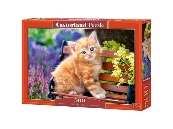 Castorland Ginger kitten 500 pcs, 500 stykker, Fauna, 9 år