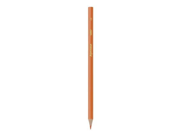 BIC KiDS AQUACOULEUR - Fargeblyant - assorterte farger - 2.9 mm (en pakke 12)