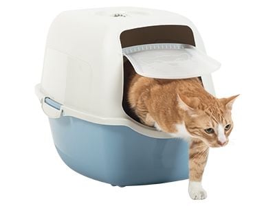 Rotho Bailey, Katt, Kattedo med lokk, Blå, Hvit, Spenne, Karbon, 560 mm