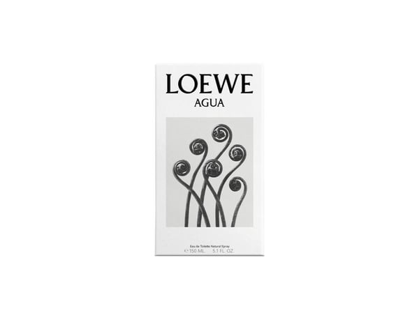 Loewe Agua de Loewe EDT 50 ml