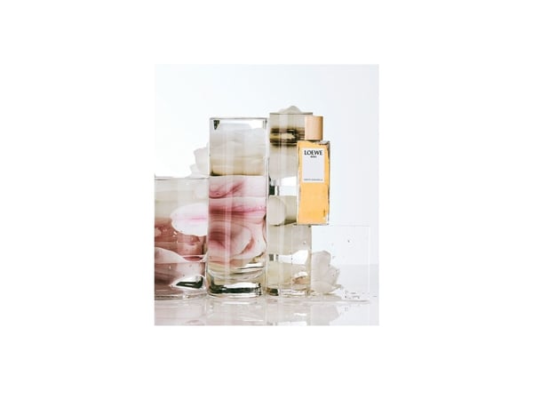Loewe Aura White Magnolia EDP W 100 ml