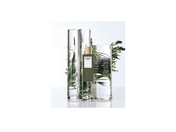 Loewe Esencia pour Homme Eau De Toilette 150 ml (man)
