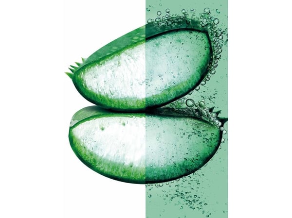 Garnier Fructis Hair Food Aloe Vera Hydrating Mask 390ml
