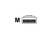 Datalogic CAB-461 - Seriell kabel - RJ-45 (10-kontakts) (hann) - 3.6 m - rullet sammen