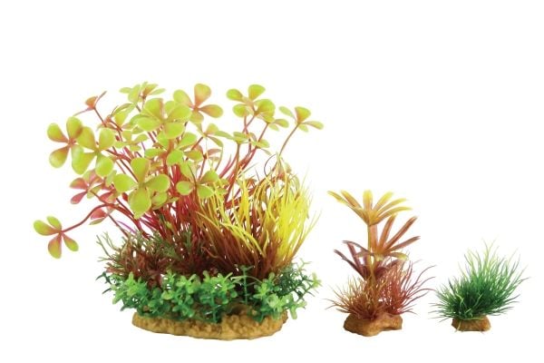 Zolux plantepynt PlantKit Wiha modell 4 (352143)