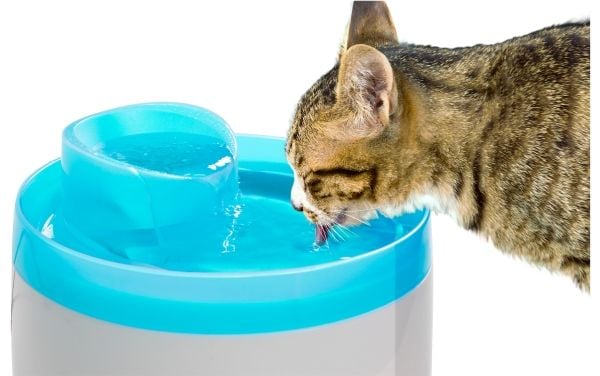 Zolux Cat Fountain 2L
