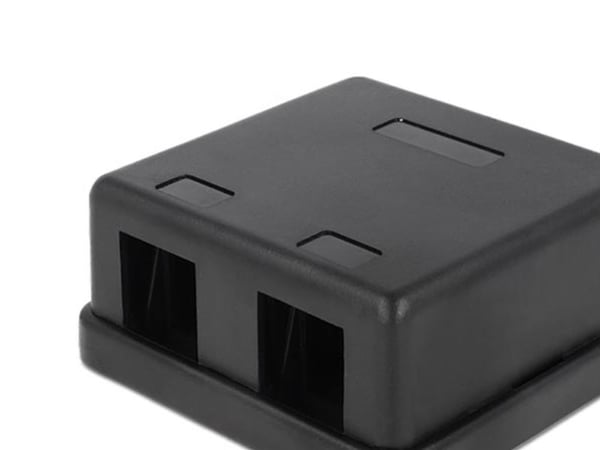 Delock Keystone Surface Mounted Box - Kotelo modulaarisella insertillä - musta - 2 porttia