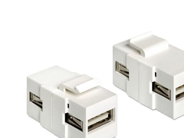Delock - Modulär insats (koppling) - USB Type A