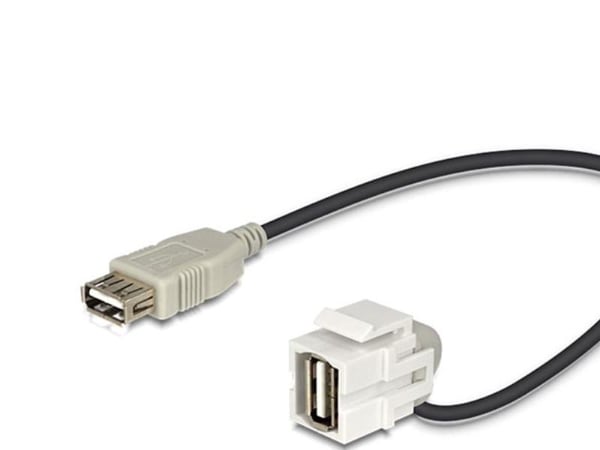 Delock - Modulinnlegg - USB Type A