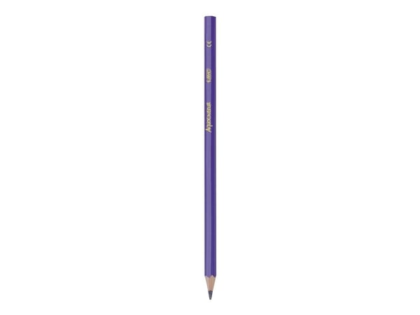 BIC KiDS AQUACOULEUR - Fargeblyant - assorterte farger - 2.9 mm (en pakke 12)