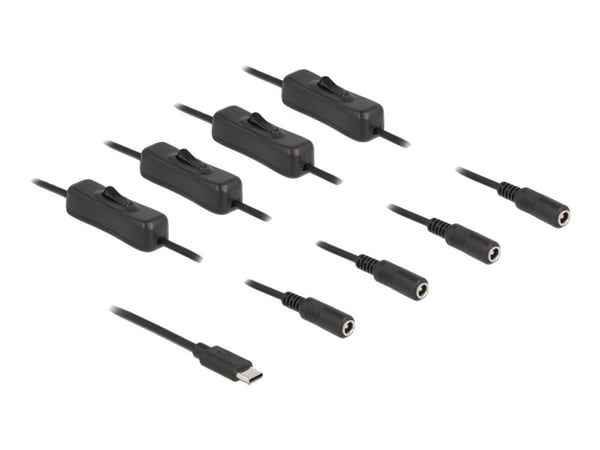Delock - Strømsplitter - 24 pin USB-C (hann) til 5,5 x 2,1 mm DC-jakk (hunn) - 1 m - svart