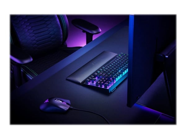 Razer Standard Edition - Handledsstöd - tenkeyless