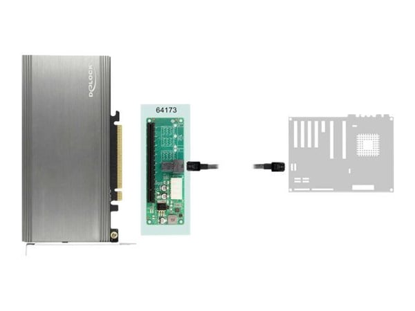 Delock - Liitäntäsovitin - PCIe 4.0 x16 (NVMe) - U.2