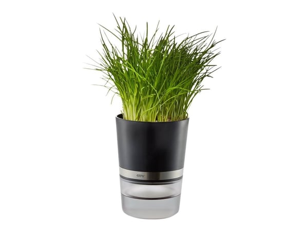 GEFU BOTANICO - Smart plant pot - 14.2 x 18.5 cm