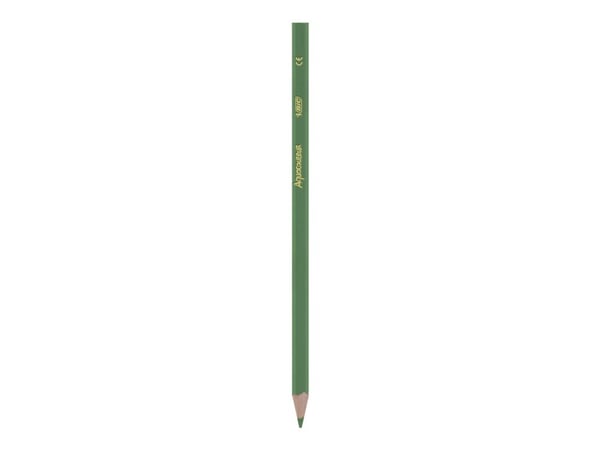 BIC KiDS AQUACOULEUR - Fargeblyant - assorterte farger - 2.9 mm (en pakke 12)