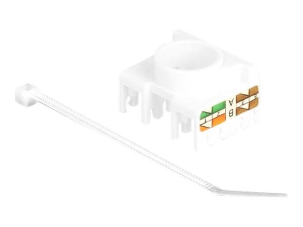 Delock - Trapes-jakk - 180° - CAT 6a - RJ-45, LSA - hvit