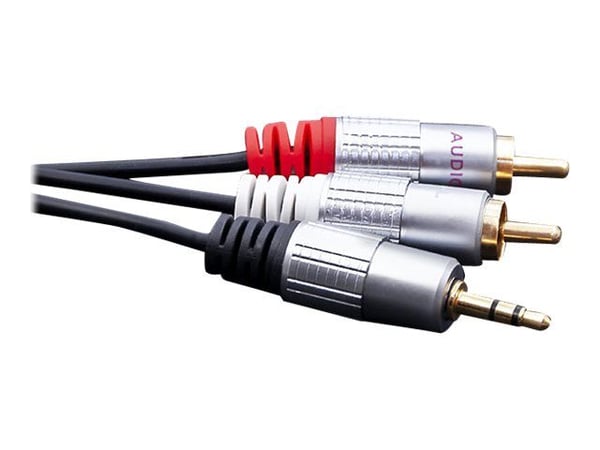 Qoltec - Lydkabel - RCA x 2 hann til mini-phone stereo 3.5 mm hann - 1 m - svart