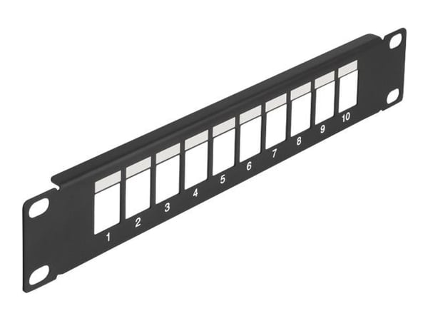 Delock - Pluggbord (blankt) - snap-in mounting - rackmonterbar - svart - 1U - 10" - 10 porter