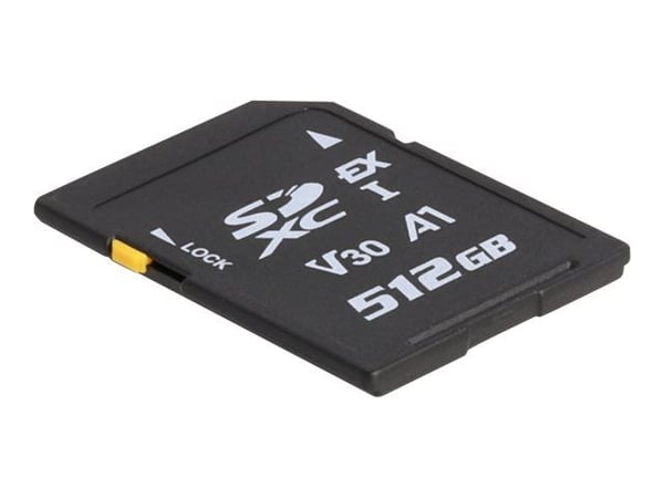 Delock - Flashminnekort - 512 GB - Video Class V30 / UHS-I U3 - SD