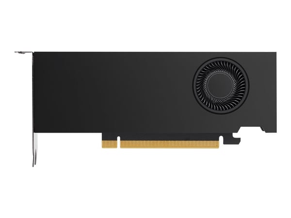 NVIDIA RTX - Grafikkort - RTX A2000 - 12 GB GDDR6 - PCIe 4.0 x16 - 4 x Mini DisplayPort - for Workstation Z2 G9, Z4 G4, Z4 G5, Z6 G4, Z6 G5, Z8 G4,...