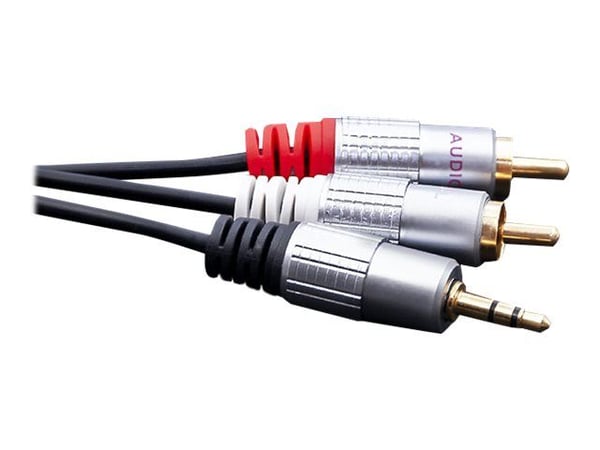 Qoltec - Lydkabel - RCA x 2 hann til mini-phone stereo 3.5 mm hann - 3 m - svart