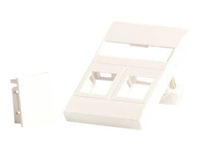 Lanview - Veggplate - fits 50x75 mm LK FUGA outlet - med etiketteringsvindu - RJ 45 - 2 moduler - hvit