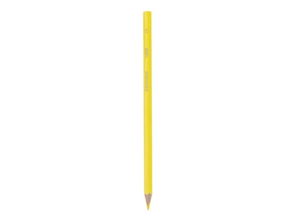 BIC KiDS AQUACOULEUR - Fargeblyant - assorterte farger - 2.9 mm (en pakke 12)
