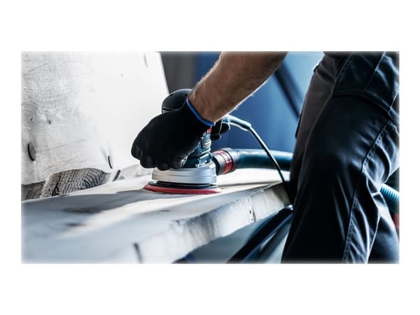 Bosch Expert M480 Net - Slipeark - 5 deler - rund - grovkorn: P240 - 125 mm