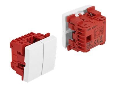 Delock - Easy 45 - push-button switch - 2 vippbrytare - 10 A - AC 250 V - vit, RAL 9003