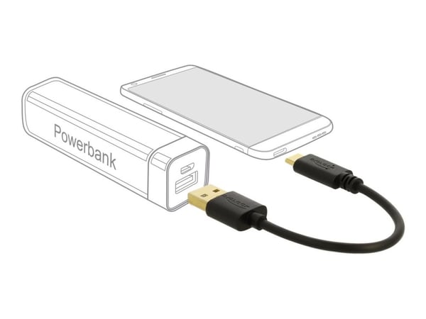 Delock - USB-adapter - USB (hann) til USB-C (hann) - 3 A - 15 cm - svart