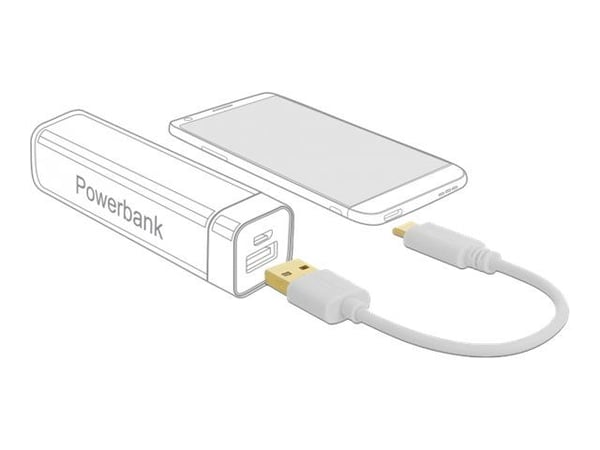 Delock - USB-kabel - USB (kun strøm) (hann) til USB-C (kun strøm) (hann) - 3 A - 15 cm - hvit