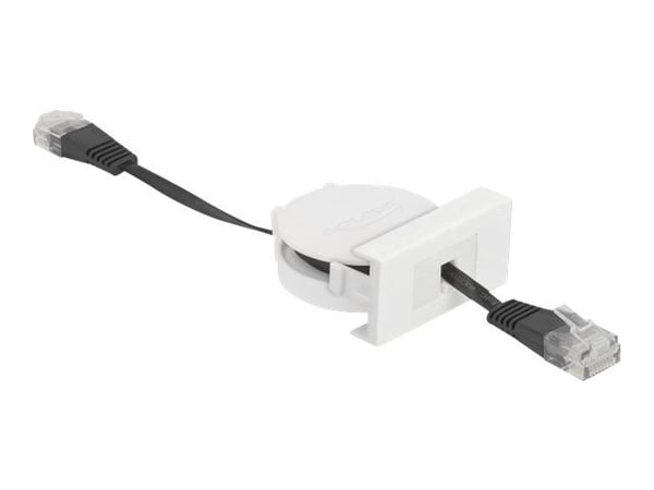 Delock - Koblingskabel - RJ-45 (hann) til RJ-45 (hann) - 50 cm - SF/UTP - CAT 5e - formstøpt, tilbaketrekkbar, flat - svart, hvit, RAL 9003