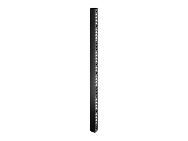 APC Easy Rack - Rackkabelorganisator (vertikal) - svart - 42U