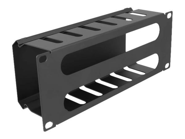 Delock - Rack cable management routing panel - with 2 openings - svart - 1U - 10"
