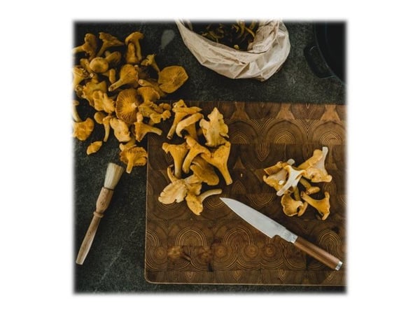 Fiskars Norden - Kokkekniv - Small (12.4 cm)