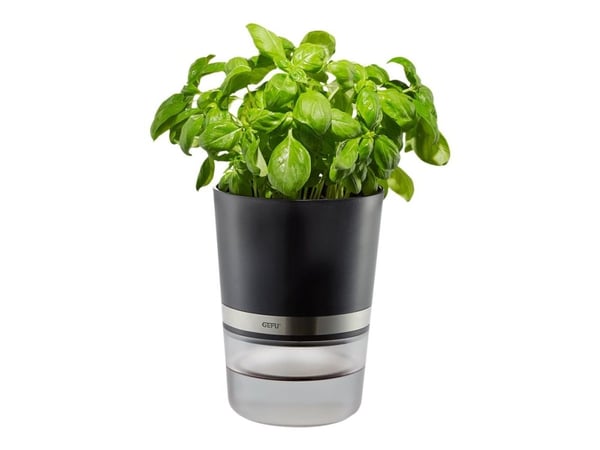 GEFU BOTANICO - Smart plant pot - 14.2 x 18.5 cm