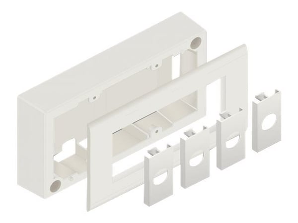 Delock - Easy 45 - flatemontert boks - 4 modules - hvit, RAL 9003