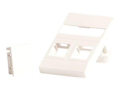 Lanview - Veggplate - fits 50x75 mm LK FUGA outlet - med etiketteringsvindu - RJ 45 - 2 moduler - hvit